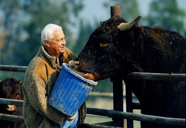 Sharon in his farm