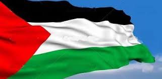 پرچم غزه